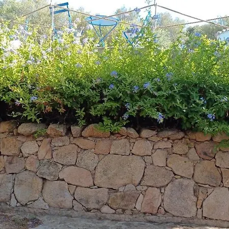 Ferienhaus Porto Rotondo *