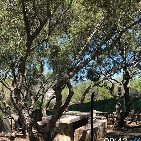 Holiday home Porto Rotondo Olbia